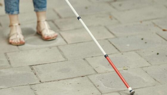 Patrimonio protegido personas con discapacidad